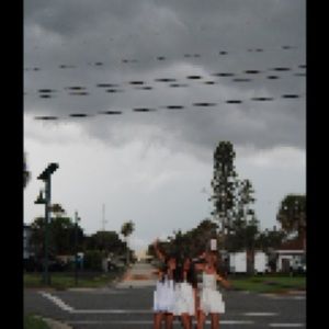 Meet your Posher, Delana